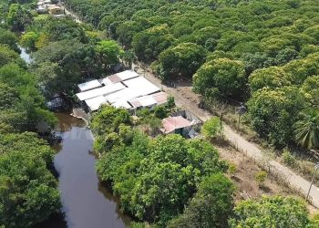 Avanza el ecocidio en Cabildo Amatal