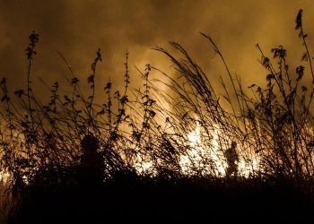Reportan mala calidad del aire en la capital chiapaneca