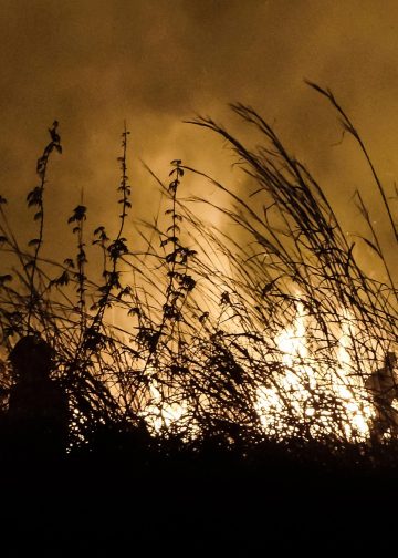 Reportan mala calidad del aire en la capital chiapaneca