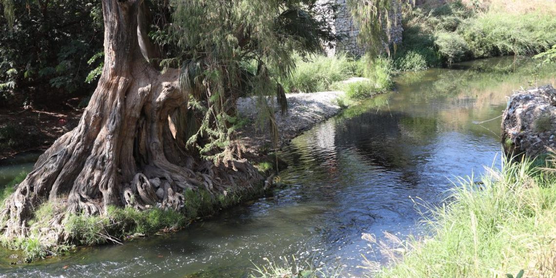 La CONAGUA señala colapso de plantas tratadoras estatales