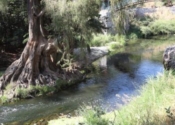 La CONAGUA señala colapso de plantas tratadoras estatales
