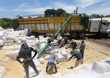 156 MDP a modernización hidroagrícola en Chiapas