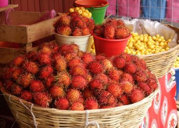 Abandono institucional a productores de rambután