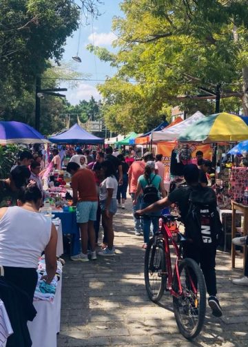 Tuxtla niega permisos a mujeres emprendedoras