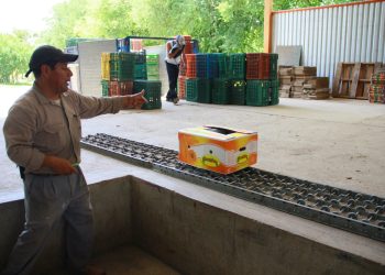 Restablecen aduana y reactivan comercio exterior en la frontera