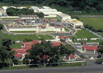 EE. UU. invertirá 21 MDD para combatir al gusano barrenador 