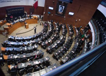 Senado excluye a ciudadanía del Sistema de Búsqueda