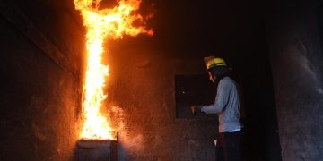 PC incendia enjambre de abejas en Tapachula