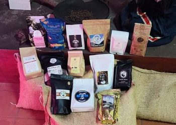 Café: Motor de economía, y conservación ambiental