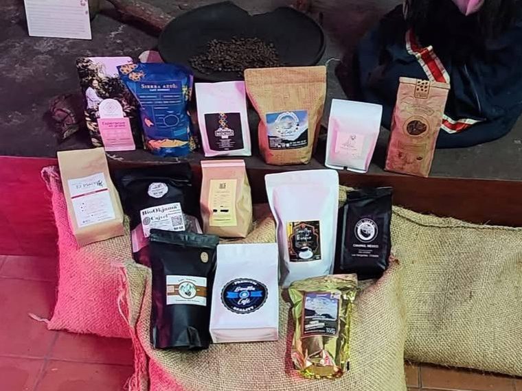 Café: Motor de economía, y conservación ambiental