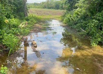 Protestan por obra de Línea K que obstruye cauce de río