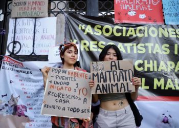 Penalizan el maltrato animal en la entidad