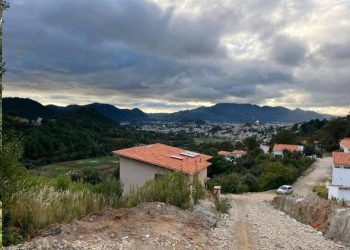 Demanda de vivienda en SCLC genera competencia inmobiliaria