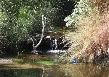 Simulan inspección en basurero de Cacahoatán