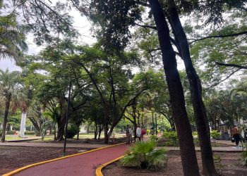 Celebran Día Internacional del Árbol con reforestación 