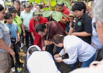 Con especies nativas, impulsa ERA campaña de reforestación