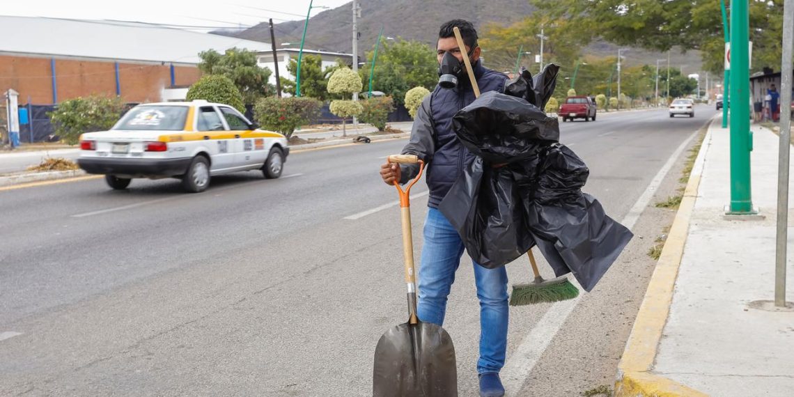 Carreteras, trampa mortal para la fauna de la entidad