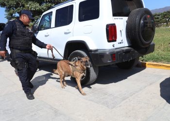 Canes protegen la sanidad agropecuaria de la región