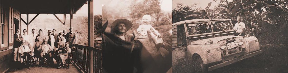 El café en Chiapas