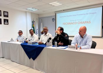 Estímulos fiscales: ¿barrera o un respiro económico?