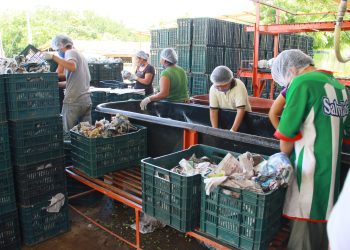 Cae en 3.9% exportaciones durante el primer trimestre