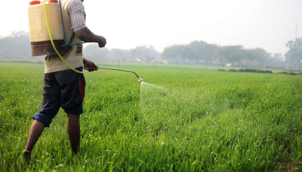 50% de los fertilizantes se pierden por volatilización