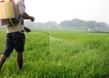 50% de los fertilizantes se pierden por volatilización