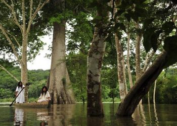 Lacandones, detenidos de manera arbitraria