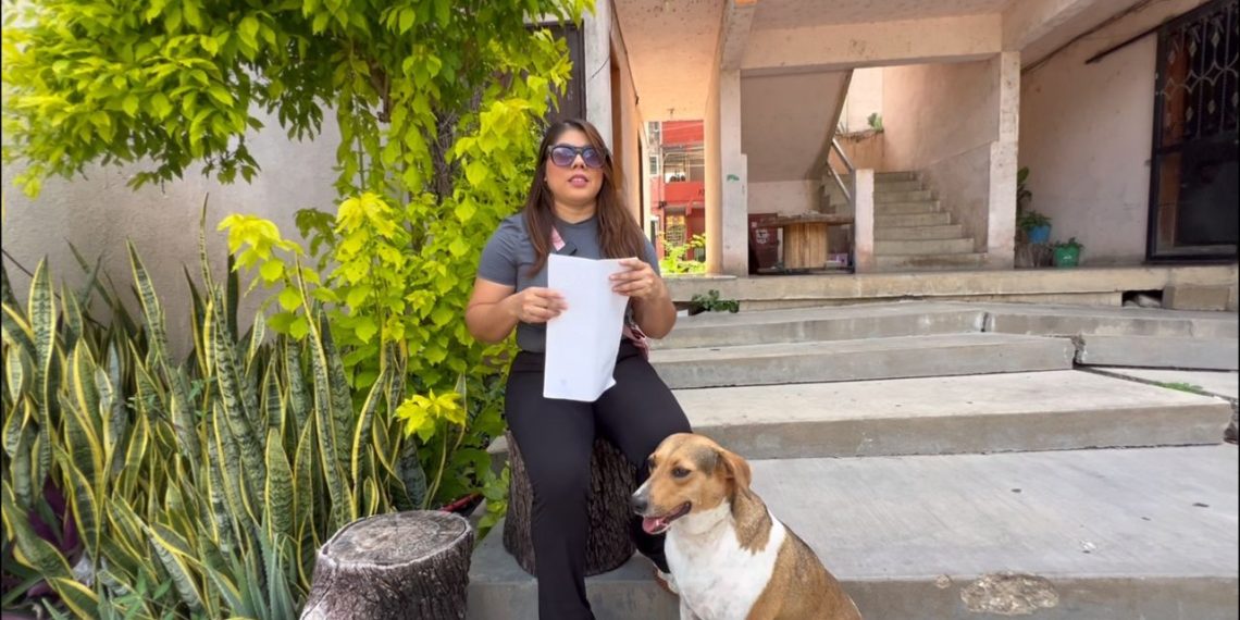 Luna, perrita comunitaria en medio de un conflicto vecinal