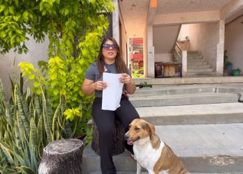 Luna, perrita comunitaria en medio de un conflicto vecinal
