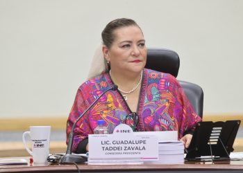 Rechazan entrega de padrón del INE para nueva CURP