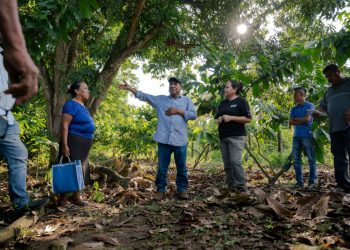 Palmicultores desconocen a representantes ilegítimos