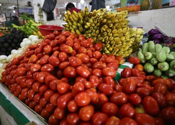 Arancel del 20.91 por ciento inquieta al sector agro local