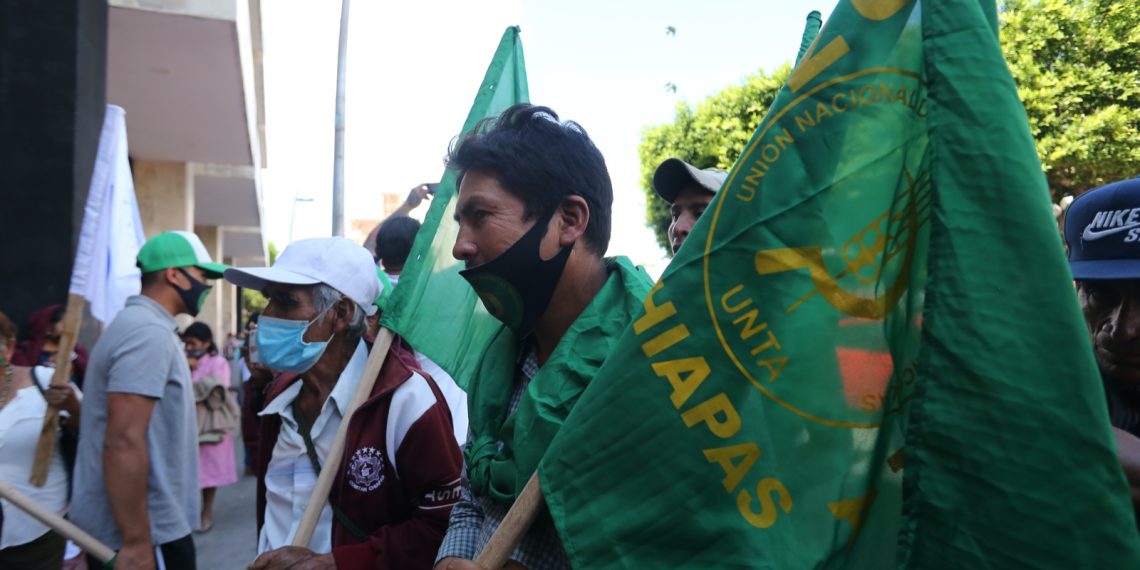 UNTA rechaza precio de garantía del maíz