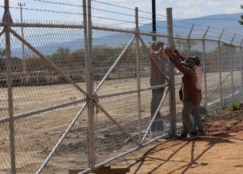 Proyecto Grand Mayán dañó a 35 hectáreas protegidas