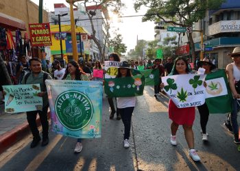 Consumo chiapaneco de cannabis es el más bajo