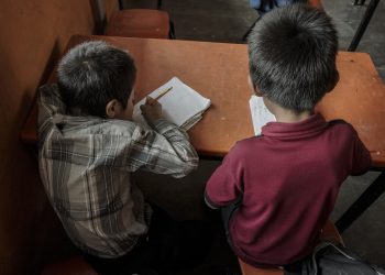 Cae 40% el número de hablantes de maya mam