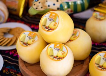 Ruta del queso en Ocosingo: Sabor con historia y tradición