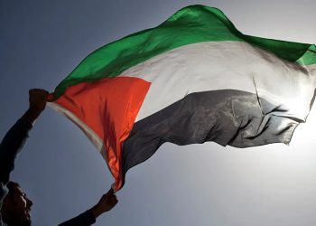 Noroña propone refugio a niños huérfanos de Palestina en México