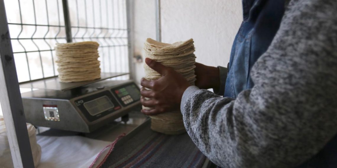 En 6 meses precio de la tortilla podría bajar 5%