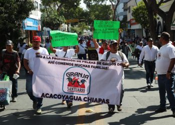 Peleas de gallos avanzan hacia pronta reactivación