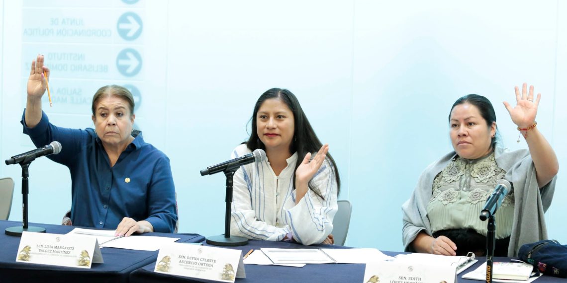 El Senado elige a madres para Integrar Consejo de Búsqueda