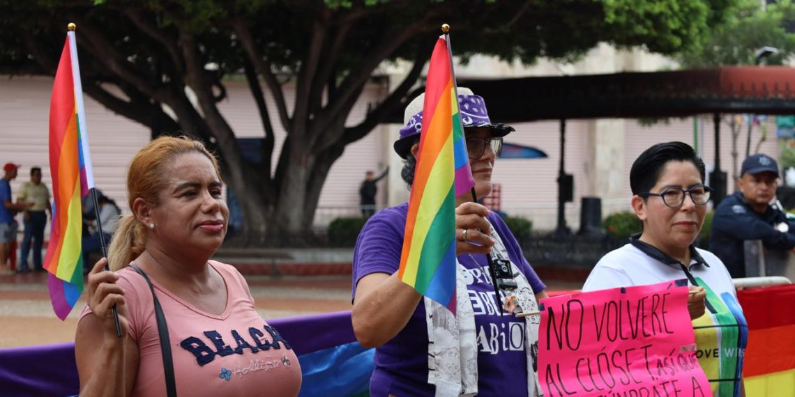 ONG defiende diversidad sexual en aulas escolares