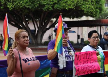 ONG defiende diversidad sexual en aulas escolares