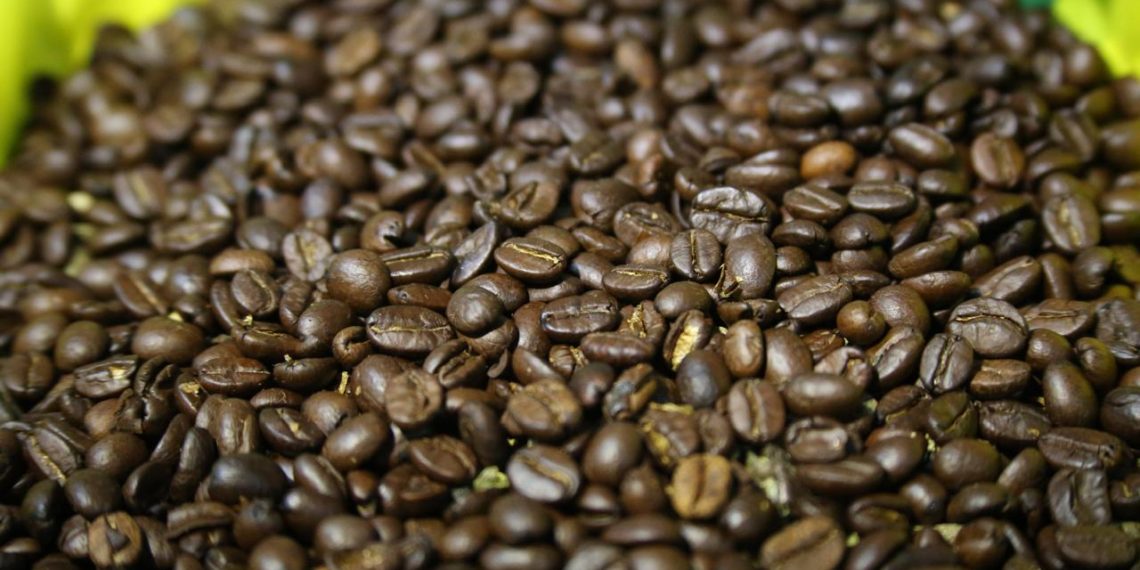 Cafetaleros del Soconusco protestan abandono federal