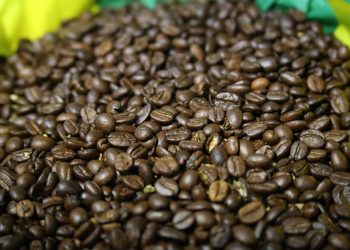 Cafetaleros del Soconusco protestan abandono federal