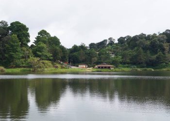 Coapilla Bosque del Quetzal se transformará en la nueva ANP