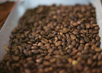 Café: Entre tradición y la crisis de mercado