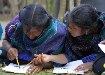 Recortarían 119 mdp a educación indígena 