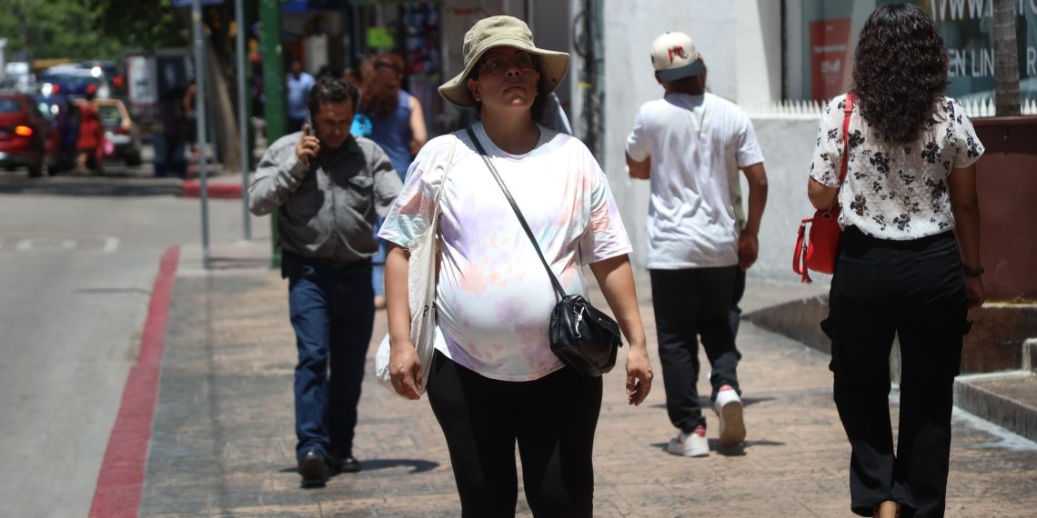 Dentro de las entidades con más muertes fetales